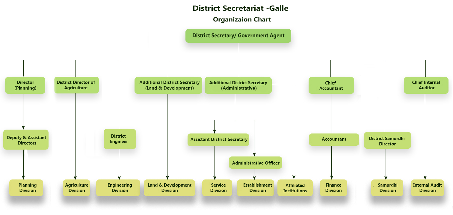 Organization Chart Englishh