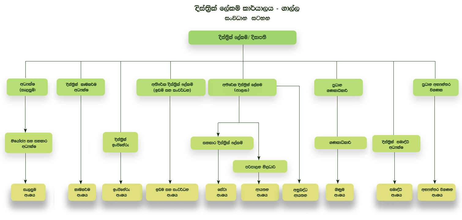 Organization Chart Sinhala