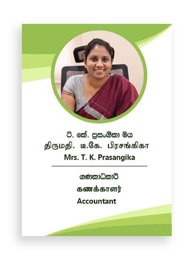 Accountant1