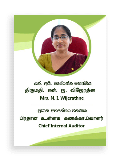 InternalAuditor