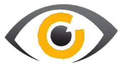 vision